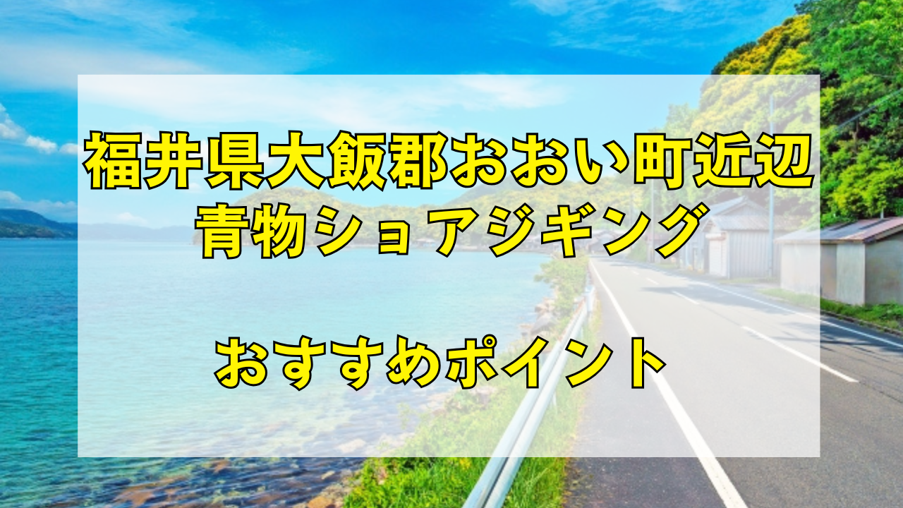 福井県大飯郡おおい町のショアジギングおすすめポイント！意外と穴場かも！？